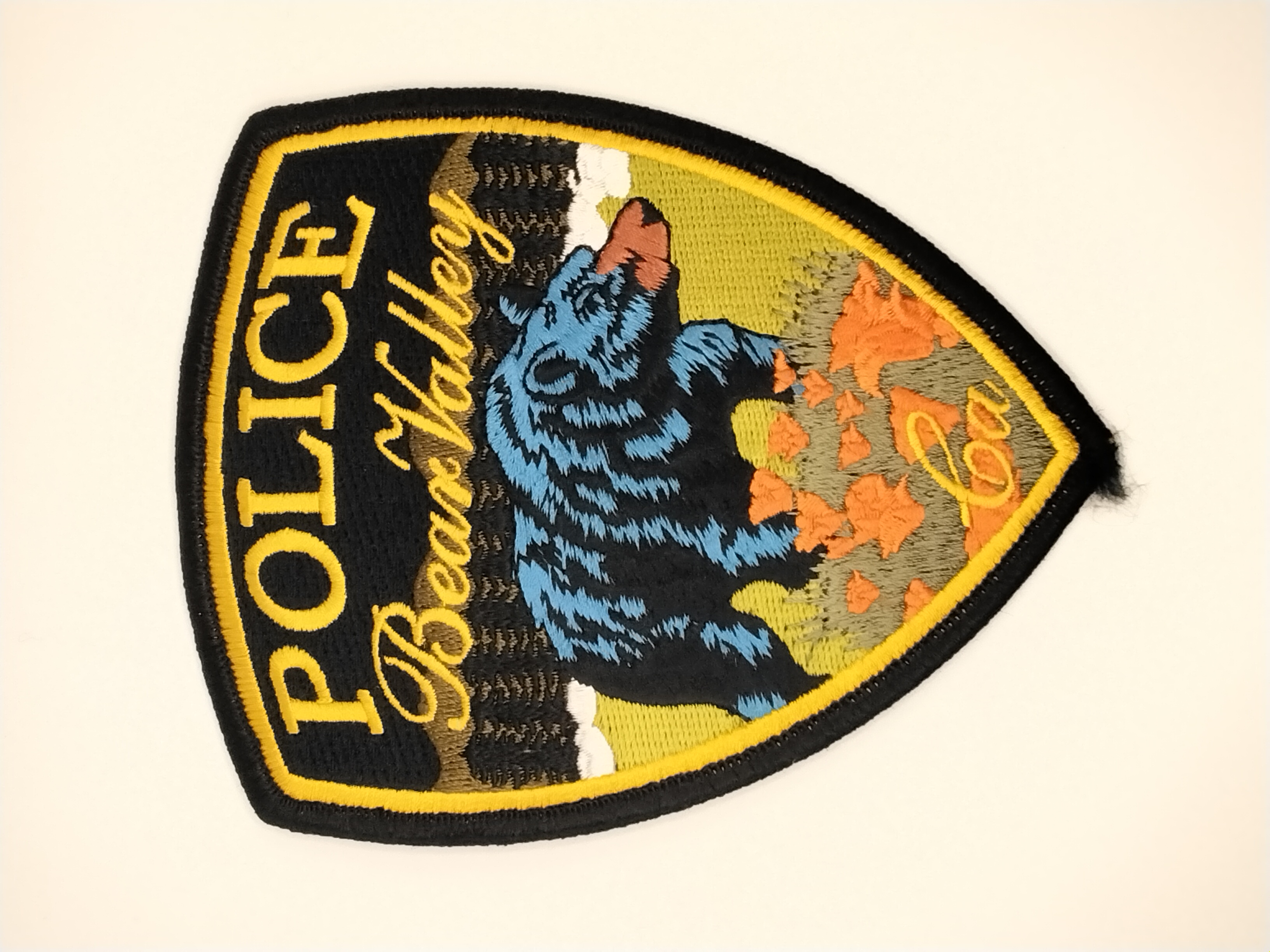 Police Patch Hunter - USA