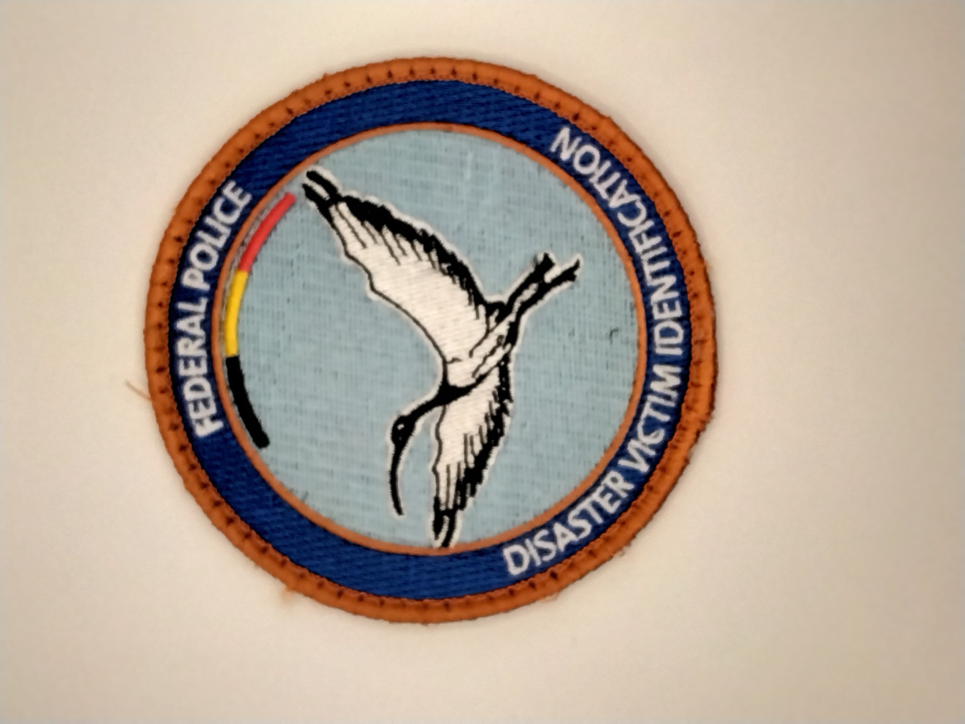 Police Patch Hunter - DVI