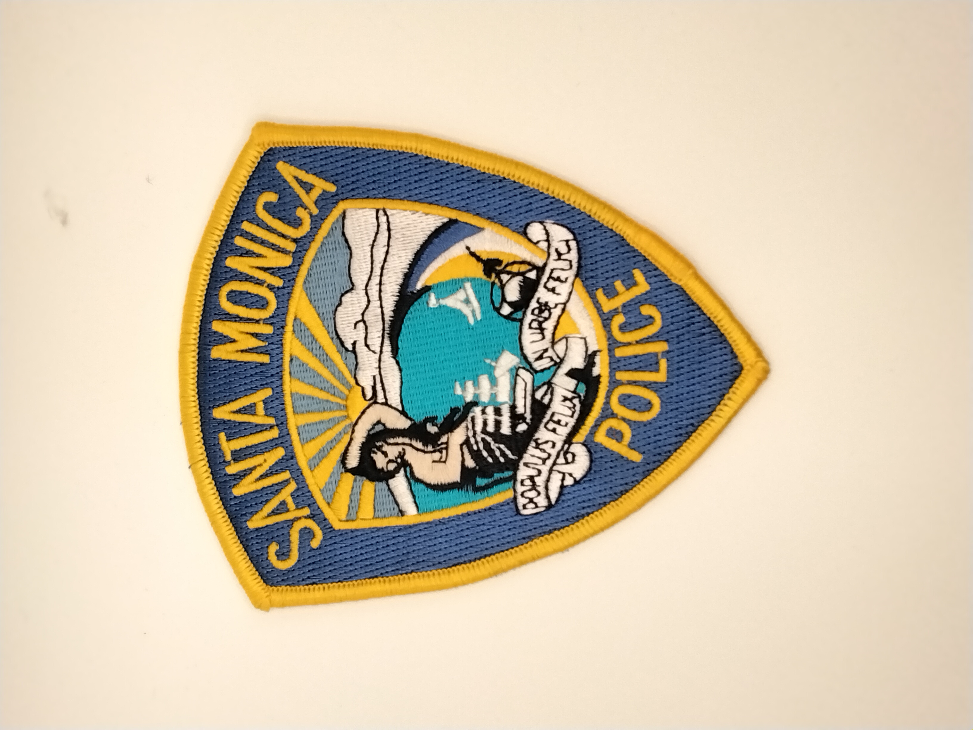 Police Patch Hunter - USA
